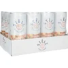 Stëlz Mixed Classics Moscow Mule tray 12 x 25 cl